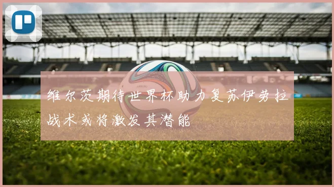 维尔茨期待世界杯助力复苏伊劳拉战术或将激发其潜能